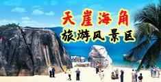 大鸡巴操大逼视频插放海南三亚-天崖海角旅游风景区